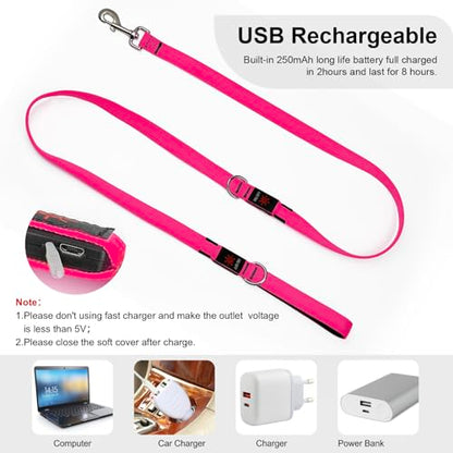 Colaseeme LED Light Up Dog Leash, USB Rechargeable (6FT,Pink) | Glow in dark, reflective, USB-C rechargeable, bright LED for night safety, fits medium to large dogs - color: Pink, size: 6FT