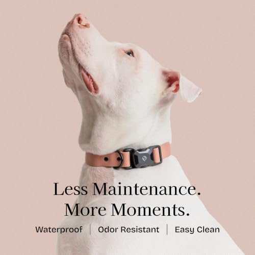 Fei & Eve VERO Dog Collar, Blush, Small | MagEase Magnetic Buckle, Waterproof PVC, Odor Resistant, Easy Clean, Heavy Duty - color: Blush, size: S