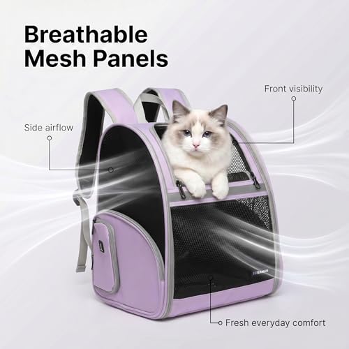 Cat Backpack Carrier for Small Dogs and Medium cat Puppy Kitten Bunny Pet Carrier Backpack Collapsible with Fully Ventilated Mesh with Safety Leash (Purple, 12.9" L x 10.62" W x 15.5" H - M) - color: Purple, size: Medium