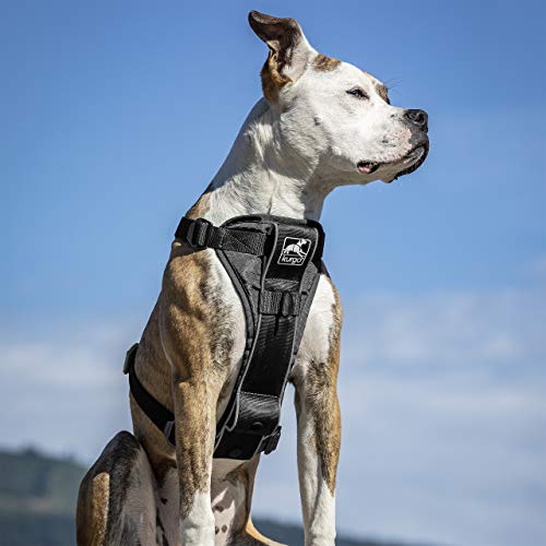 Kurgo Dog Harness | Pet Walking Harness | Medium | Black | No Pull Harness Front Clip Feature for Training Included | Car Seat Belt | Tru-Fit Quick Release Style - color: Black, size: Medium