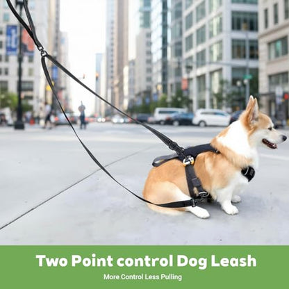 Two Point Control Dog Leash for No Pull Training - Reflective Training Leash for Dogs that Pull with Swivel Clip - Anti Pull Dog Harness for Medium Large Dogs