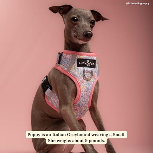 Lucy & Co. Ditsy Daydream No-Pull Dog Harness, Adjustable Front Clip Harness with Comfort Padding, X-Large - color: Ditsy Daydream, size: X-Large