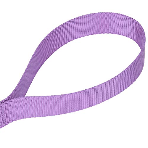Country Brook Petz - Vibrant 17 Color Selection - Heavyduty Doublehandle Nylon Leash (6 Foot, 3/4 Inch Wide, Lavender) - color: Lavender