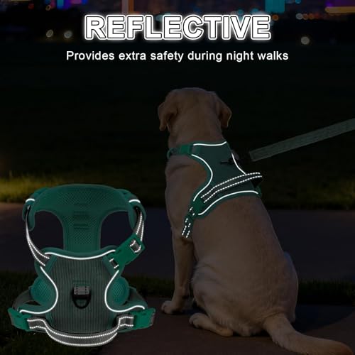 BEAUTYZOO No Pull Dog Harness, Adjustable Dog Harness and Leash Set -Easy Wearing with 3 Buckles/Control Handle,No Choke Soft Padded Reflective Pet Vest for Training Walking Hiking,Solid Aqua Blue S - color: Solid Aqua Blue, size: S: chest 14"-24"