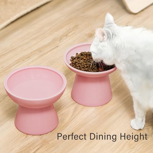 CEEFU 2 Elevated Cat Bowls Extra Wide for Food & Water – Whisker Fatigue, Ceramic Wide Shallow Food Dish, Lead & Cadmium Free, Raised Height for Cats, Pink - color: Pink