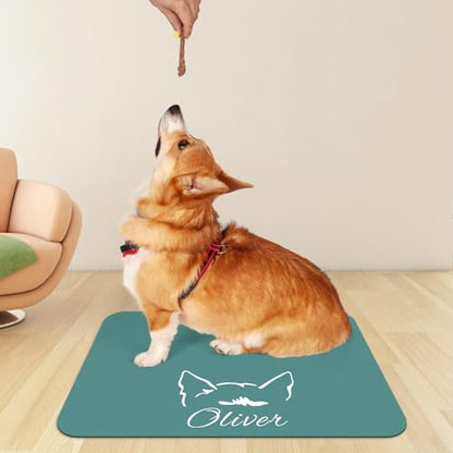Personalized Dog Food Mats for Floors Custom Pet Placemat Mats for Food and Water Waterproof Customized Pet Food Mat with Name Gifts for Dog & Cat Owners Design 2