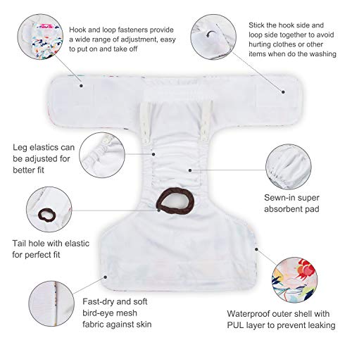 CuteBone Dog Diapers Female Washable Small Medium Large 3 Pack Reusable Doggie Diapers Puppy Period Pants for Doggy Heat Cycle Peeing - size: M