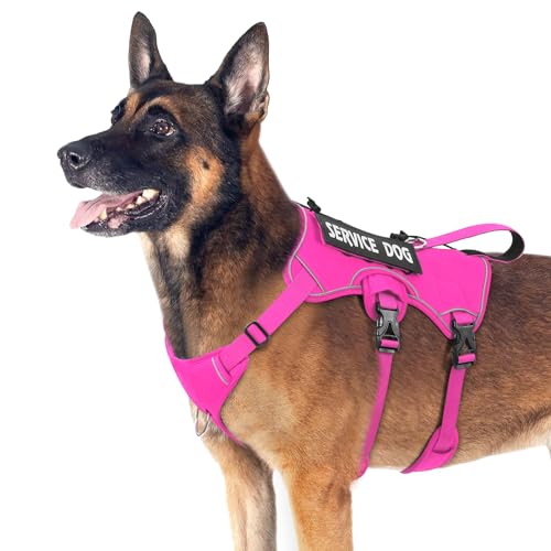 VOOPET Escape Proof Dog Harness, Soft Padded Full Body Pet Harness, Reflective No Pull Dog Harness with Handle and 2 Leash Clips for Large Dogs Walking Hiking Training (Rose Pink,XL)