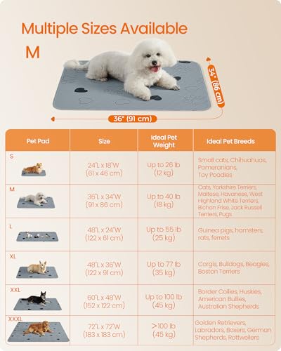 Feandrea Washable Dog Pee Pads, 2 Pack, Reusable Dog Pads, 36 x 34 Inches, M, Waterproof Pet Training Pads, Leakproof, Non-Slip, Super Absorbent, Gray UPTD034G01 - size: M (36"L x 34"W)