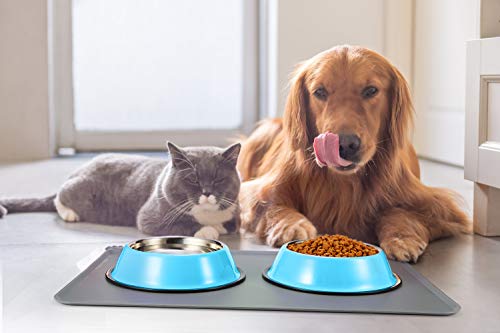 Stainless Steel Dog Bowls, Food and Water Non Slip Anti Skid Stackable Pet Puppy Dishes for Small, Medium and Large Dogs (2 Pack) - color: Blue, size: 3¾ Cup/30 oz