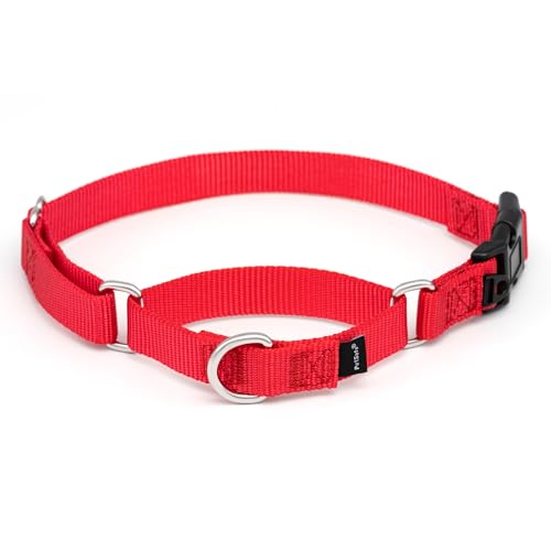 PetSafe Martingale Dog Collar with Quick-Snap Buckle - Medium, 1 Inch, Red
