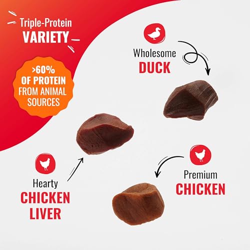 GOOD ‘N’ TASTY KABOB BITES, TREATS FOR DOGS - size: 4 Ounce (Pack of 12), style: Kabob Bites
