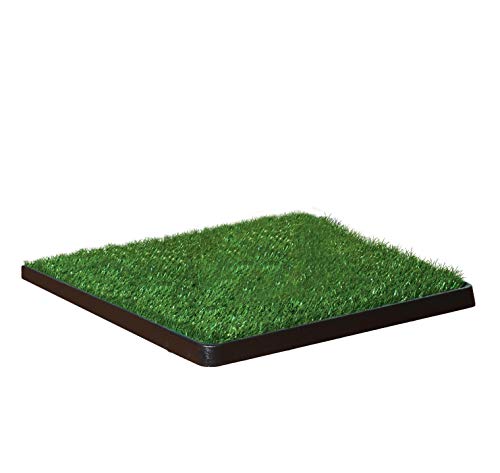 Four Paws Wee-Wee Premium Patch Indoor and Outdoor Pet Potty for Dogs l Dog Potty Training l Artificial Grass l Wee-Wee Patch - size: 20"L x 20"W, style: Patch