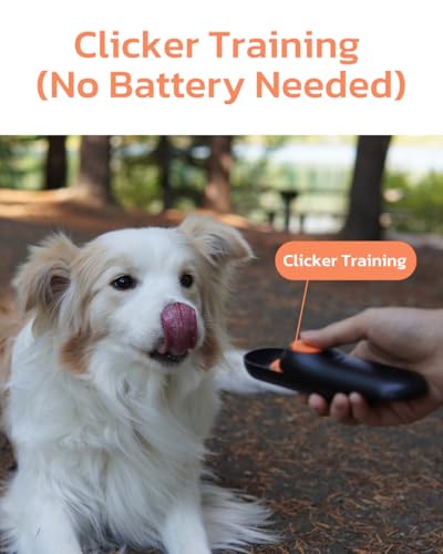 Clink Design 2-in-1 Puppy Essentials, Dog Training Clicker & Treat Carrier, Durable Food-Grade ABS, Treat Carrier with Desiccant Compartment, Compact & Lightweight Dog Stuff for Dogs - Black & Orange