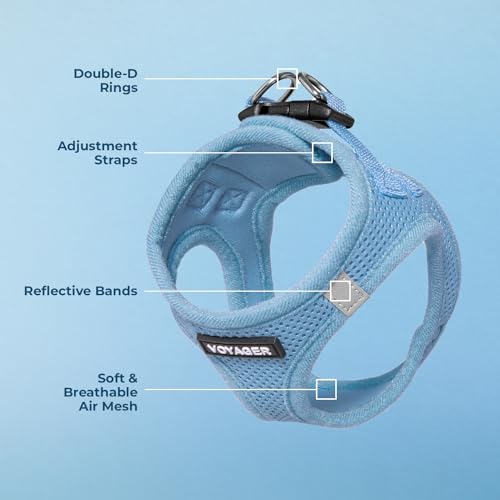 Best Pet Supplies Voyager Step-in Air Harness - All Weather Mesh, Reflective, No Pull Harness for Dogs, Cats - Secure with Hook & Loop Fastener, Buckle, Double D-Rings - Baby Blue, XXXS - color: Harness (Baby Blue), size: XXXS (Chest: 11 - 12")