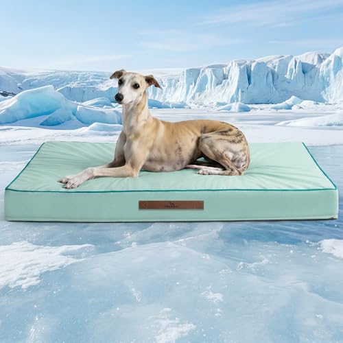 Cooling Dog Beds Large Sized Dog, Extra Large Comfy Flat Puppy Beds with Removable Washable Cover, 44 x 32 Inch Orthopedic Egg Crate Foam Pet Mat, Suitabe for Pet Up to 100 lbs, Light Aqua - color: Light Aqua, size: 44''x32''x4''
