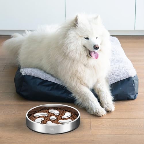 Slow Feeder Dog Bowl-3Cups for Large Breeds, Double Wall Food-Grade Stainless Steel, Heavy Duty with Non-Slip Rubber Base, Puzzle Maze Bowl to Slow Down Eating [2Pack] - color: Spiral-2Pack, size: L 3~3.5Cups