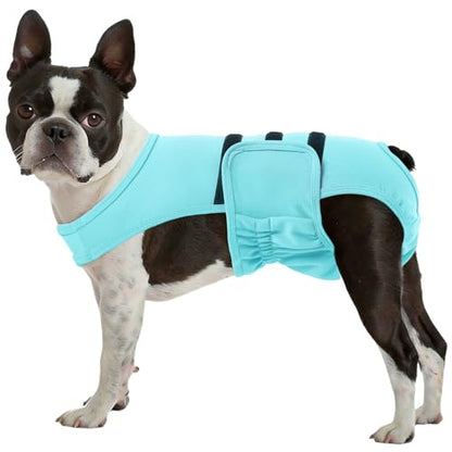 Lelepet Female Dog Diapers for Heat, Reusable Dog Period Onesie, Washable Dog Panties with Suspender, Soft Adjustable Small Girl Doggy Belly Band with Hole Tail, Blue, S - color: Blue, size: S