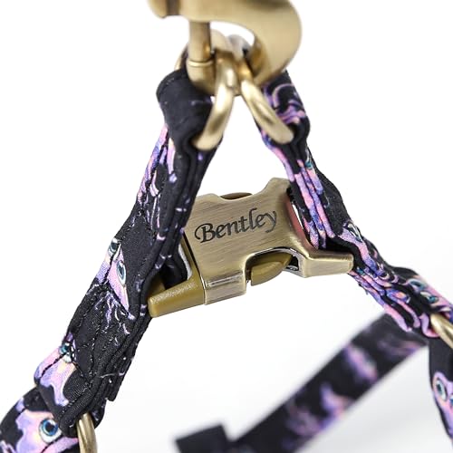 Angie and Allie Organic Cotton Personalized Step in Dog Harness,Custom Dog Halter Vests,Adjustable No Pull Canine Halter Harness for Small Medium Large Dogs - color: Jellyfish, size: XS