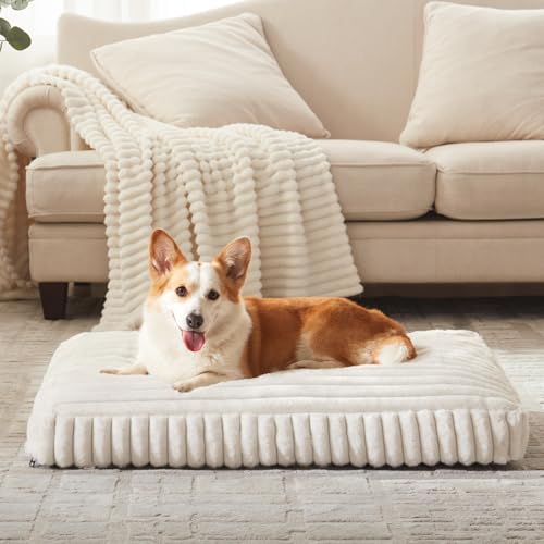 Dog Bed Medium Size Dog, Flat Pet Beds with Removable Washable Cover, Pet Mat Cute Crate Bed Thick Shredded Chopped Crate Foam & Anti Slip Bottom for Indoor - color: Cream, size: M(29"x21"x3")