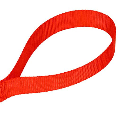 Country Brook Petz - Vibrant 17 Color Selection - Heavyduty Doublehandle Nylon Leash (6 Foot, 3/4 Inch Wide, Neon Orange) - color: Neon Orange