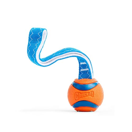 Chuckit! Ultra Tug Dog Toy, Small Fetch and Dog Ball Tug Toy for Dogs 0-20 Pounds - size: Small, style: Ultra Tug