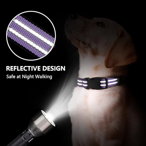 Hikiko Martingale Dog Collars Reflective Nylon Dog Collar with Quick Release Buckle Adjustable Training No Slip Dog Collar (Large, Lavender) - color: Lavender, size: Large