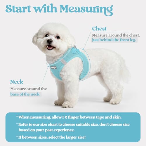 rabbitgoo Dog Harness Small Sized and Leash Set, Step in Soft Light Puppy Vest, Breathable Mesh Pet Harness, Reflective for Safe Easy Walking, Mint Blue XXXS - color: Mint Blue, size: Xxxs (chest: 10.8 - 11.8")