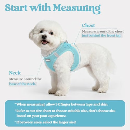 rabbitgoo Dog Harness Small Sized and Leash Set, Step in Soft Light Puppy Vest, Breathable Mesh Pet Harness, Reflective for Safe Easy Walking, Mint Blue XXXS - color: Mint Blue, size: Xxxs (chest: 10.8 - 11.8")