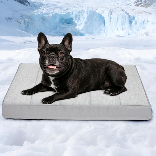 Cooling Dog Bed for Medium Dogs - Orthopedic Pet Beds with Memory Foam, QMAX>0.5, Waterproof Removable Washable Cover for Hot Weather, Gery, 30" L x 20" W x 3" H - color: Grey, size: 30"L x 20"W x 3"H