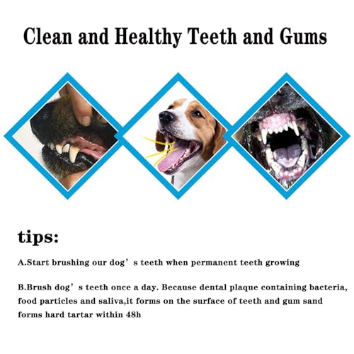 YMCCOOL Dog Toothbrush Set of 8 – Dual Headed Dental Hygiene Brushes for Small to Large Dogs, Easy Teeth Cleaning & Dental Care,Dog Tooth Brushes for Small to Large Dogs, Cats, and Most Pets