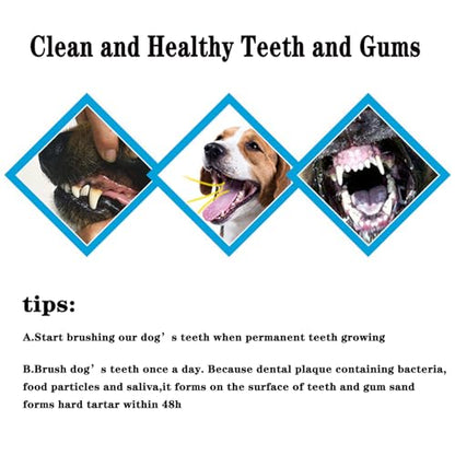 YMCCOOL Dog Toothbrush Set of 8 – Dual Headed Dental Hygiene Brushes for Small to Large Dogs, Easy Teeth Cleaning & Dental Care,Dog Tooth Brushes for Small to Large Dogs, Cats, and Most Pets