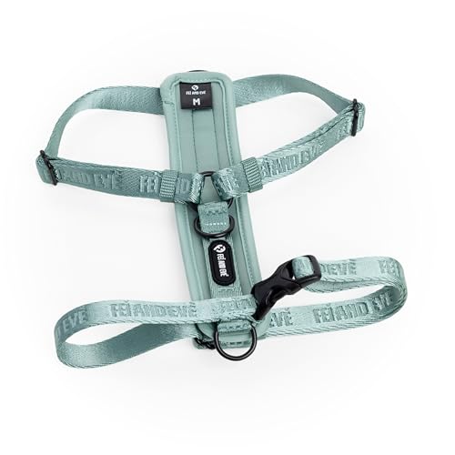 Fei & Eve Moxie Dog Harness for Small & Medium Dogs, Glacier Green, S | Lightweight Design, 3-Point No-Pull Control, Quick Release Metal Buckle - color: Glacier Green, size: S