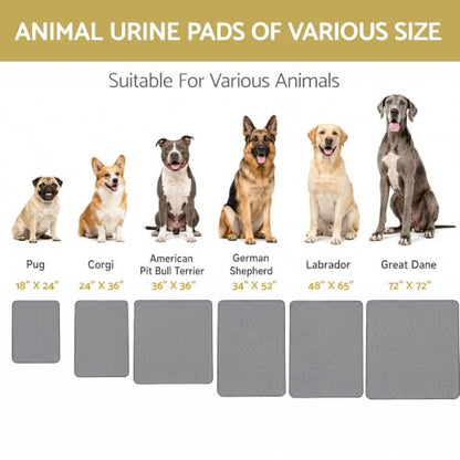 Washable Reusable Dog Pee Pads, 48"x65" Absorbent & Waterproof Puppy Training Pad for Crate, Playpen & Carpet, Large Potty Pads for Dogs, Cats & Small Pets - size: 1Pc 48x65 Inch