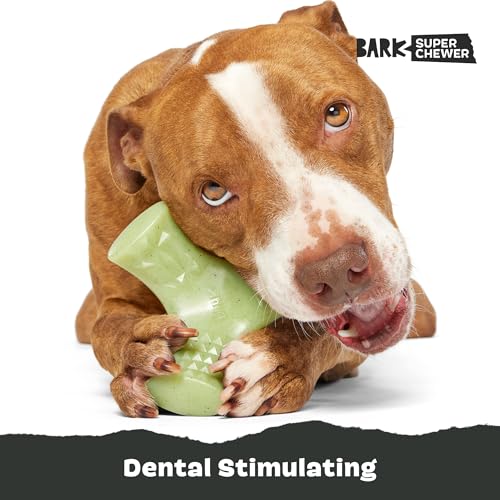 Barkbox Super Chewer Tough Dog Chew Toys for Aggressive Chewers, Dental Stimulating (Chopper - Large) - color: Chopper - Large, size: Medium/Large