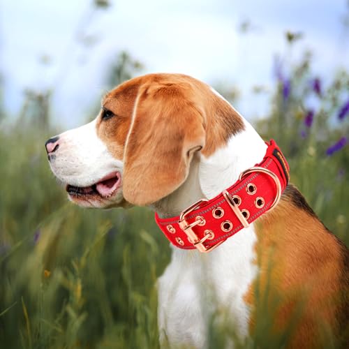 Heavy Duty Tactical Dog Collar with Neoprene Padded and Metal Buckle, Reflective Nylon for Medium to Large Dogs(Red, Large) - color: Red, size: Large (Pack of 1)