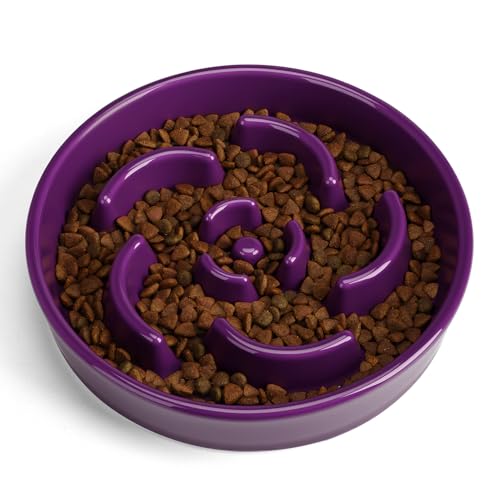 Slow Feeder Dog Bowl, Ceramic 2 Cups Dog Food Bowls for Small, Medium, and Large Breed, Anti-Slip Maze Puzzle Food Dish to Slow Down Eating (Deep Purple, 2 Cups) - color: Flower - Deep purple