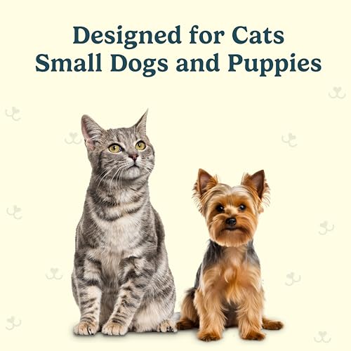 Jasper Microbrush Vet Approved Cat Toothbrush, Soft-Bristled Toothbrush Kit for Felines & Small Dogs, Non-Slip Handle with 2 Replaceable Tooth Brush Heads, Use with Cat Toothpaste, 2-Pack, Rose Pink - color: Rose Pink 2 Pack