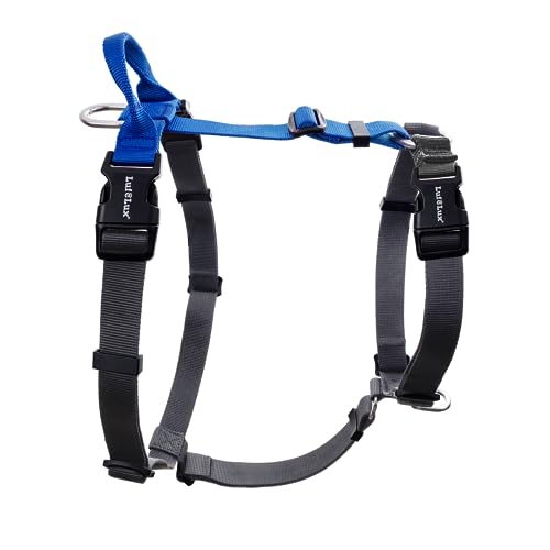 Non-Restrictive No Pull Dog Harness, Medium, Blue | Neck Buckle Design, Easy Walk Freedom, Six Points Adjustment, Dog Chest(21-30 inches) - color: Blue/Black, size: Medium