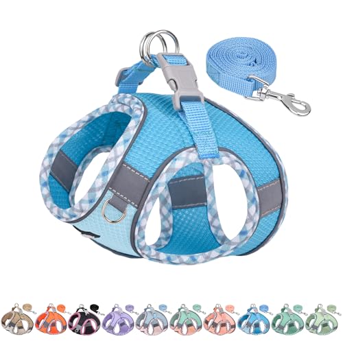 AIITLE Teacup Puppy Harness with Leash - Adjustable Soft Vest with Magic Tape & Reflective Safety Strips, Easy-Put-On for Poodles, Pomeranians - Gym, Hiking, Travel (Blue, S) - color: Blue, size: S(Chest: 13.5 - 15")