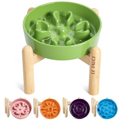 LE TAUCI Ceramic Slow Feed Dog Bowls, Elevated for Small Breeds, Anti-Gulping, Non-Slip, 6 inch, Green - color: Clover Green+Stand, size: S-0.6 Cups