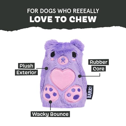 Barkbox Bear Hugger Dog Toy for Aggressive Chewers | 2-in-1 Plush & Rubber Treat-Dispensing Toy for Small Dogs | Puppy Teething Toys & Dog Toys to Keep Them Busy - color: Bear Hugger