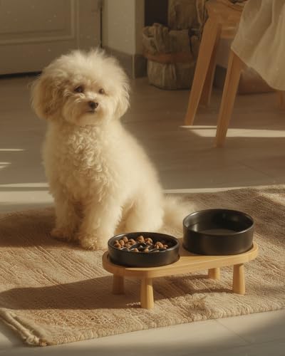 Ceramic Slow Feeder and Water Bowl Set for Small Dogs, 0.6 Cups Dog Slow Feeder(14oz) and 30oz Water Bowl Set, 6in, Black - color: Black, size: 6-Inch