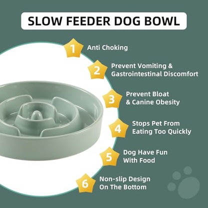 Havniva Ceramic Slow Feeder Dog Bowls, 1.2 Cups Dog Bowl Slow Feeding for Small and Medium Breed, 7.3inch Puzzle Dog Food Bowl Slow Feeder Non-Slip Anti-Gulping and Anti-Choking Reduces Bloating - color: 1 x Light Green-A, size: 7.3inch