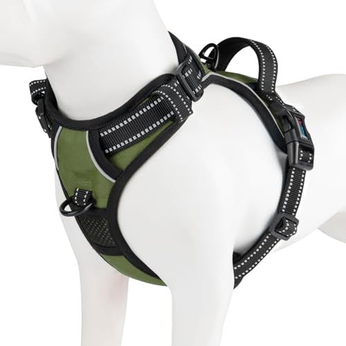 PHOEPET No Pull Dog Harness with Handle Reflective Padded Vest for Small Medium Large Dogs, Adjustable Puppy Harnesses with Front & Back Clip Easy Walking (S, Misty Green) - color: Misty Green, size: Small