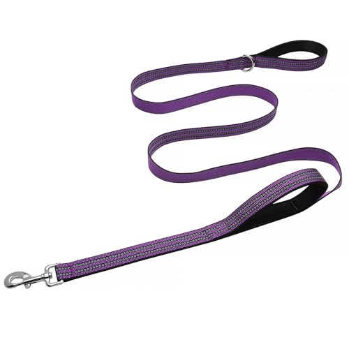 Hikiko 4FT Purple Dog Leash with Dual Handles Heavy Duty Reflective Strong Dog Leash for Walking and Training - color: Purple, size: 1 in x 4 ft