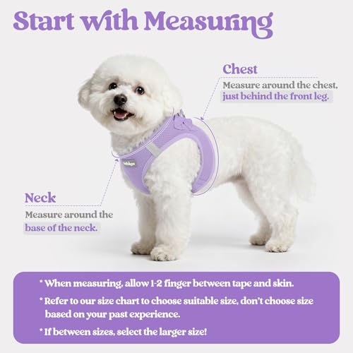 rabbitgoo Dog Harness Small Sized and Leash Set, Step in Soft Light Puppy Vest, Breathable Mesh Pet Harness, Reflective for Safe Easy Walking, Light Purple XXXS - color: Light Purple, size: Xxxs (chest: 10.8 - 11.8")