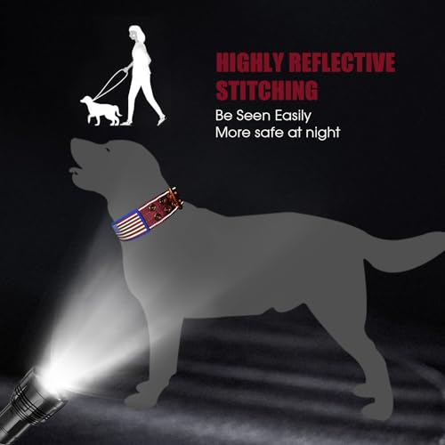 Heavy Duty Tactical Dog Collar with Neoprene Padded and Metal Buckle, Reflective Nylon for Medium to Large Dogs(Wine Red, Medium) - color: Wine Red, size: Medium (Pack of 1)