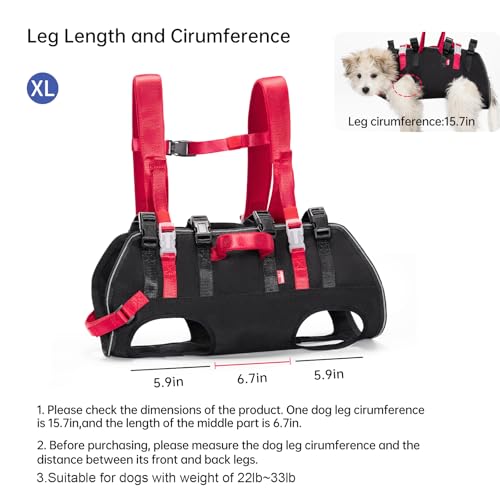 Wakytu Dog Emergency Rescue Sling - Lightweight Packable Lift Harness with Handle - Safe Transport for Small Medium Dogs - Ideal for Hiking Skiing（22-33lbs） - size: XL（22-33lbs）