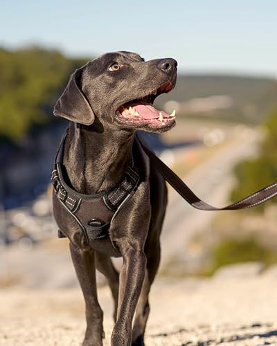 Joytale No Pull Dog Harness Medium Sized Dog, Reflective Pet Vest with Front Clip, Adjustable Soft Padded Harnesses with Easy Control Handle for Training and Walking, Brown, M - color: Brown, size: Medium